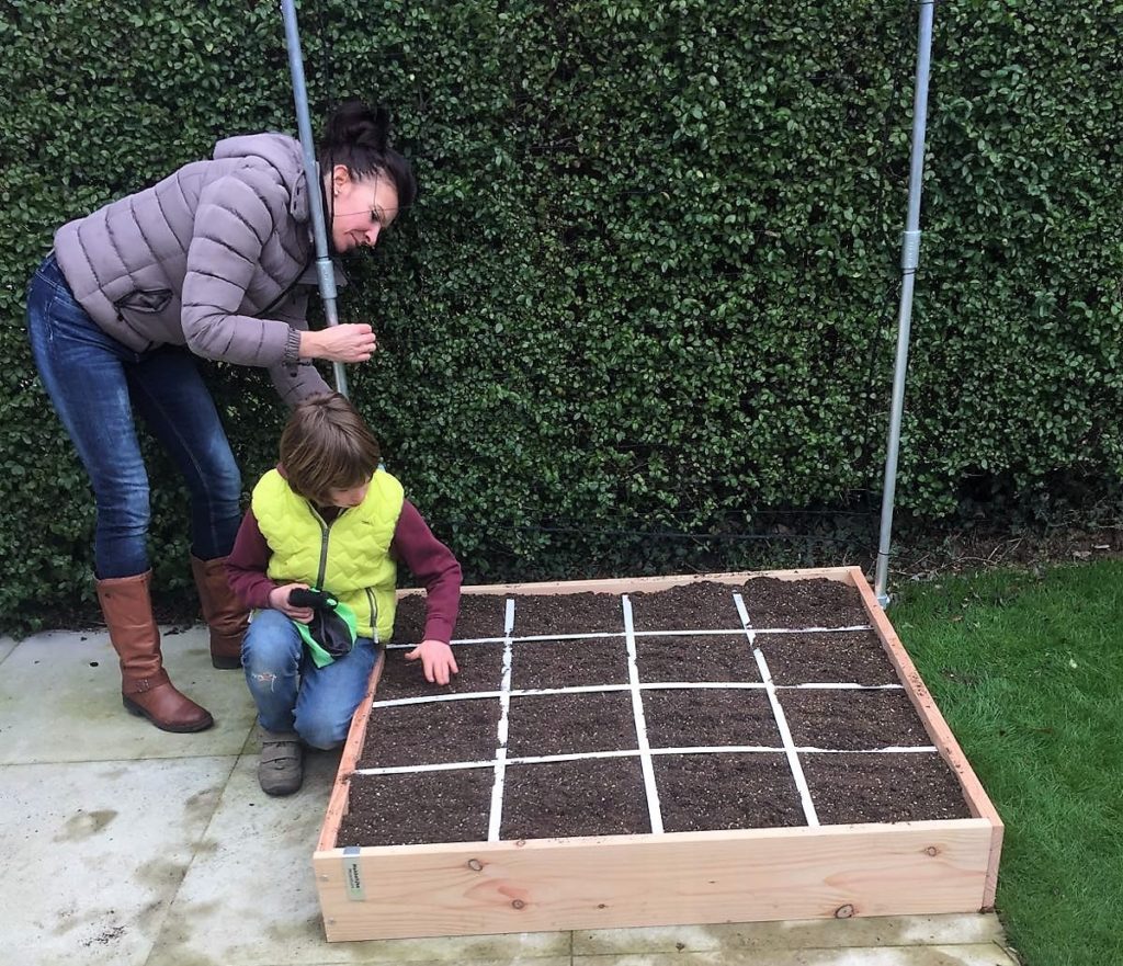 Geniales Gärtnern rund ums Jahr der Geniale Gemüsegarten