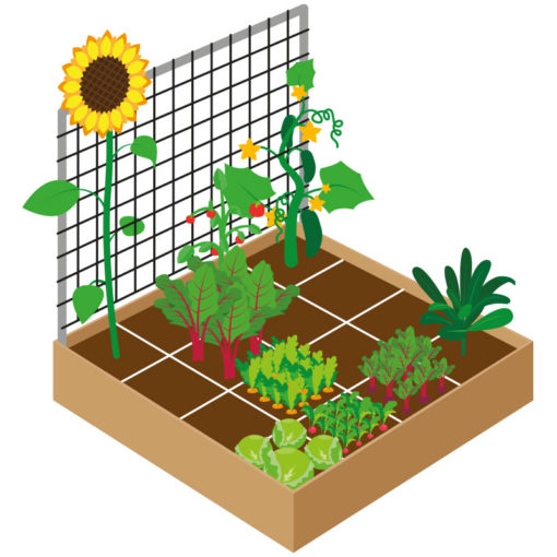 Saatsystem der Geniale Gemüsegarten