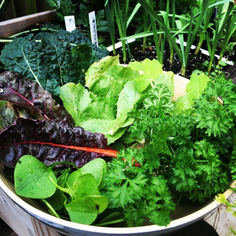 Mach sie grün, deine Smoothies der Geniale Gemüsegarten