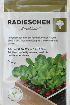Riesenradieschen das Ernteerlebnis für die ganze Familie der