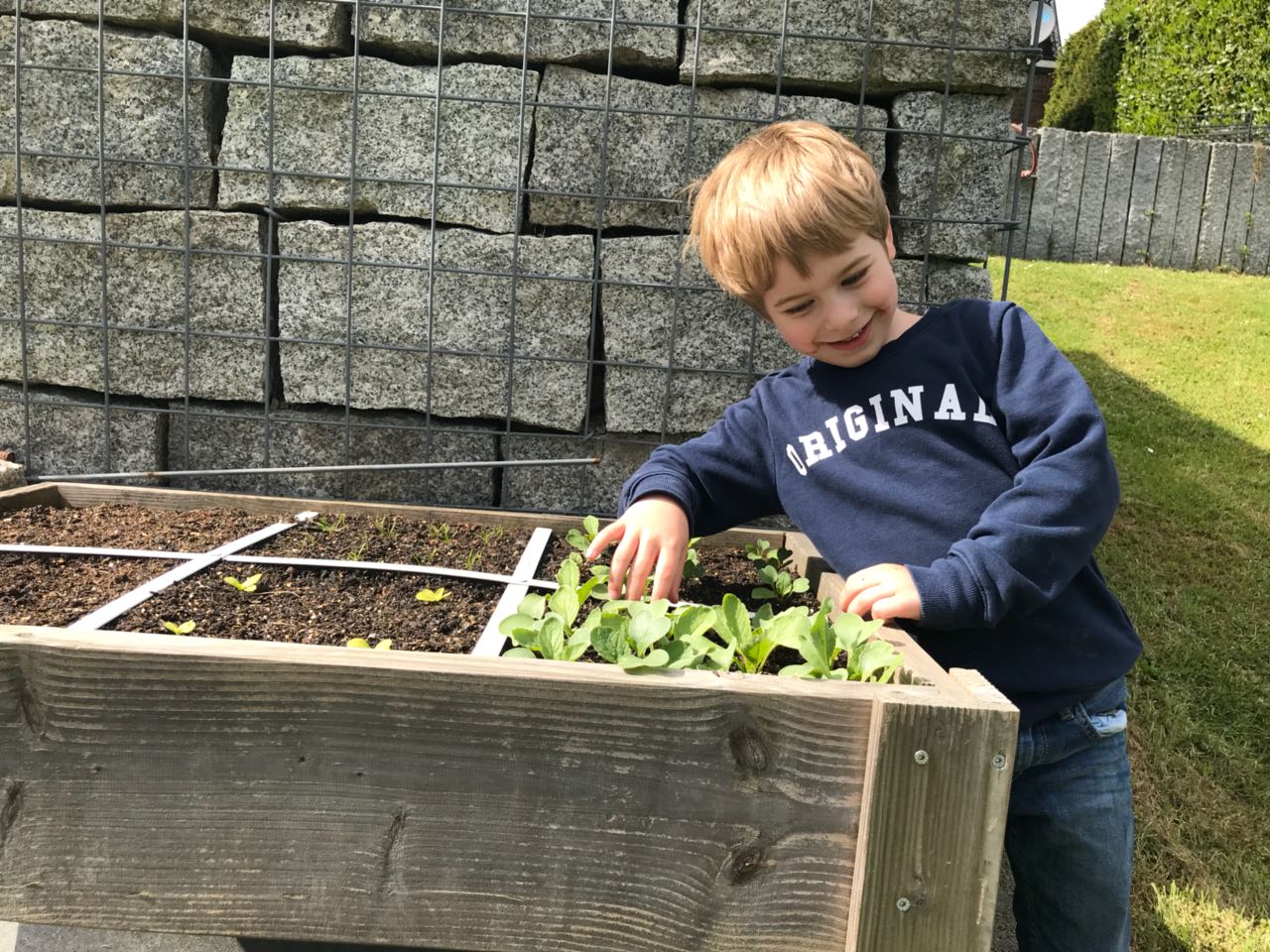 Plan(los) im Gemüsegarten? der Geniale Gemüsegarten