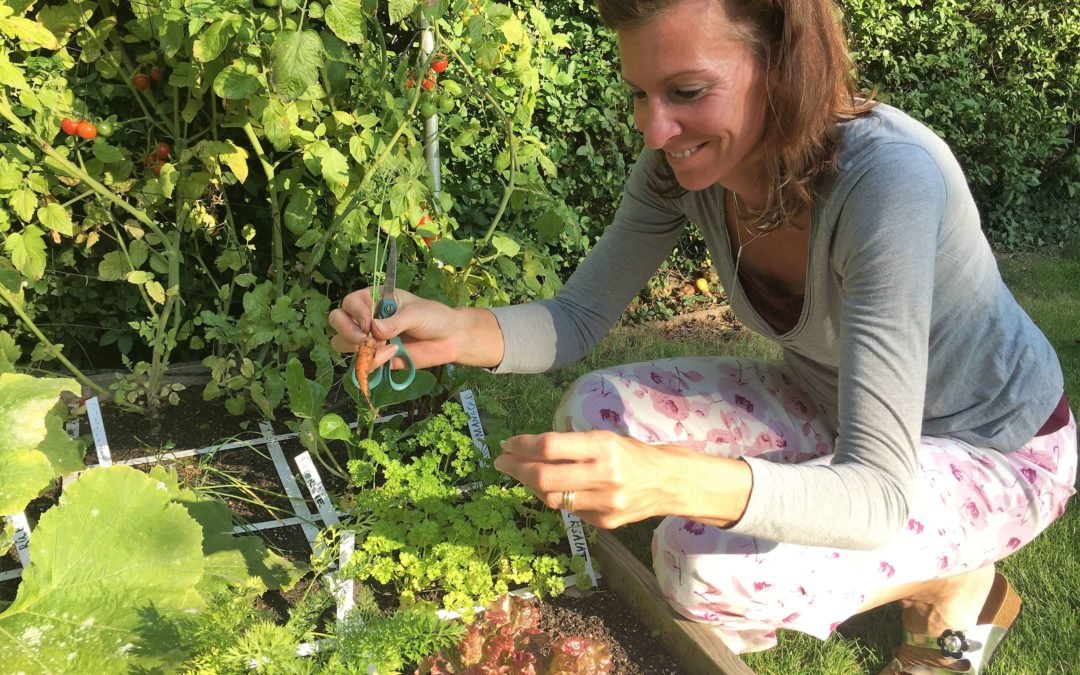 Schönwetter Gartenpflege Ende September