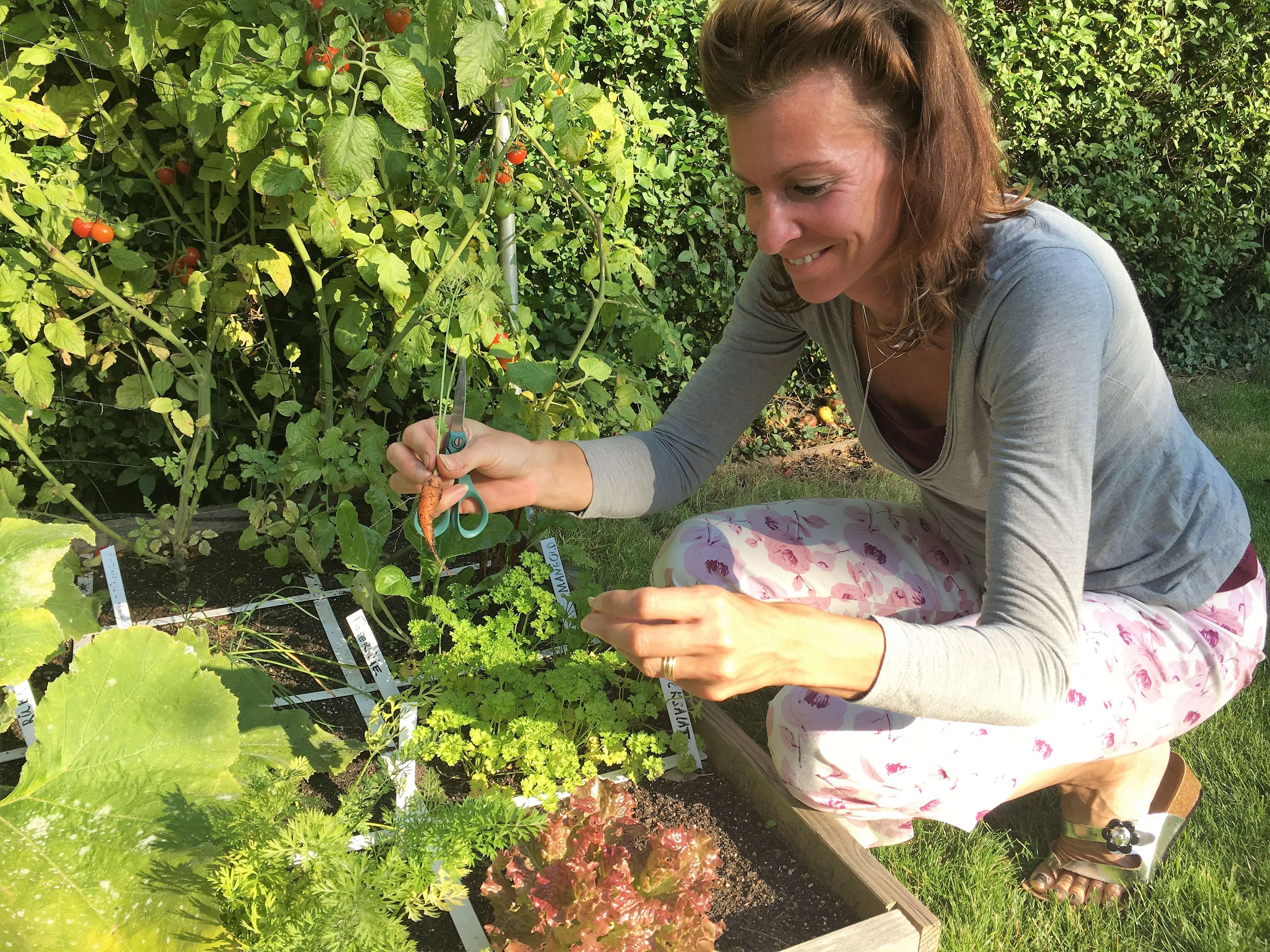 Willkommen im Genialen Gemüsegarten! der Geniale Gemüsegarten