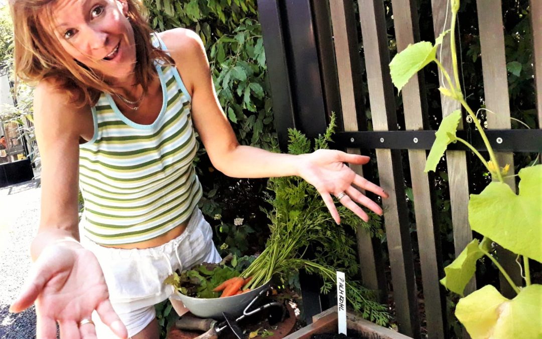 Sommerliche Ernte und Einsaat im Genialen Gemüsegarten