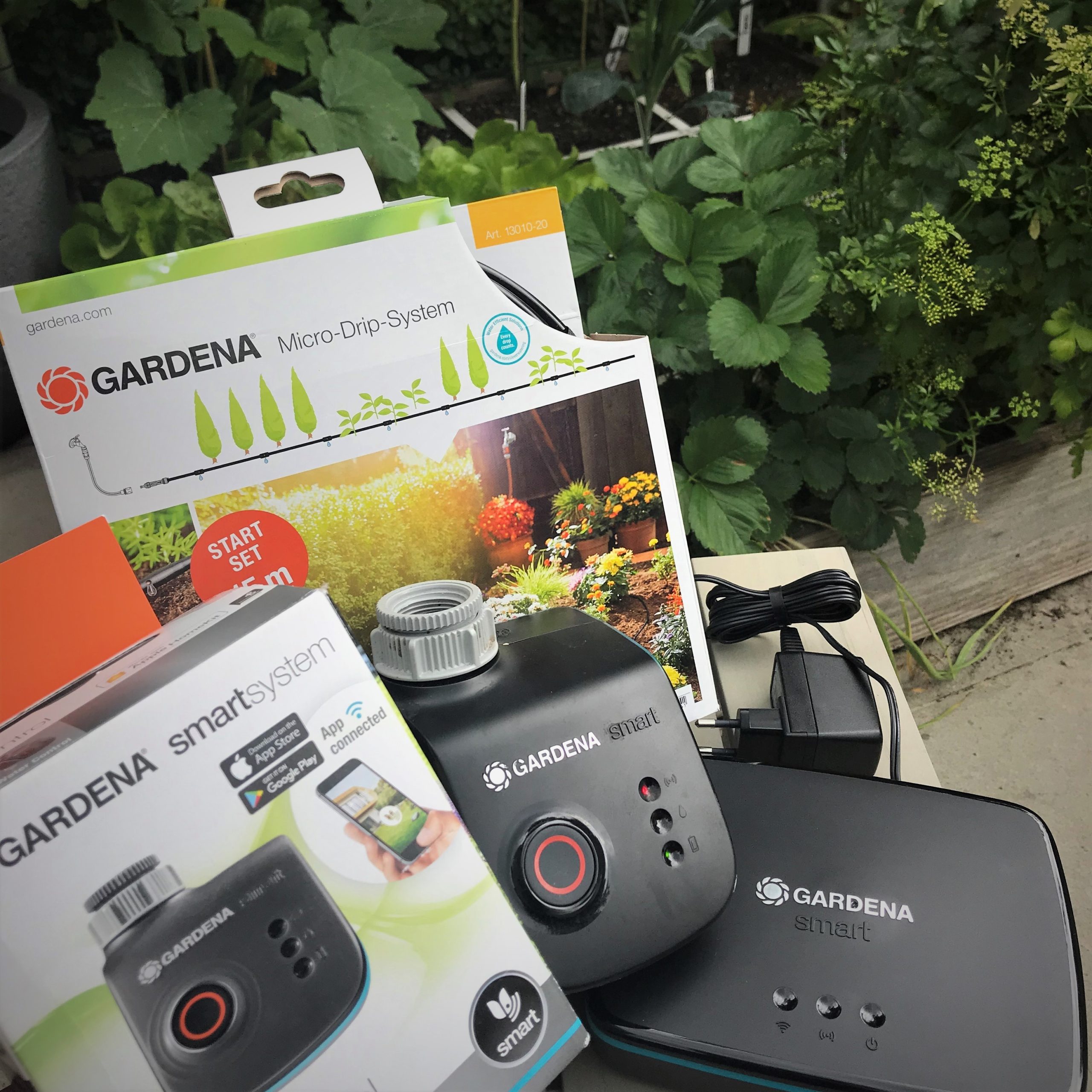 Sag deinem Bewässerungsproblem Adieu! der Geniale Gemüsegarten